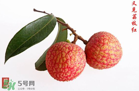4月份有荔枝嗎？四月份有荔枝嗎？