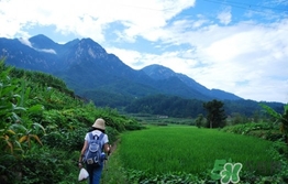 四月份去哪里旅游比較好？四月份最適合旅游的地方