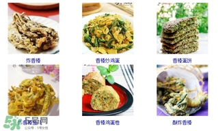香椿芽怎么吃？新鮮香椿芽怎么吃