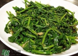 枸杞頭怎么吃？枸杞頭如何吃