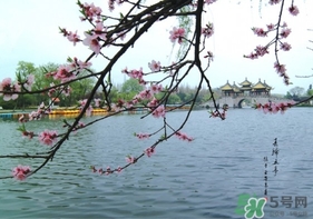 四月份去哪里旅游比較好？四月份最適合旅游的地方