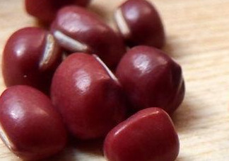 赤豆是什么豆？赤豆是紅豆嗎
