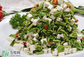 香椿可以助孕嗎？香椿有助孕的功效嗎？
