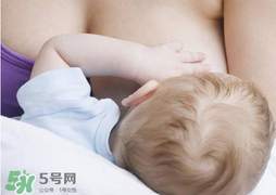 香椿會(huì)回奶嗎？吃香椿會(huì)回奶嗎？