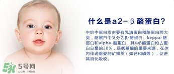 A2奶粉分幾種？A2奶粉有幾個種類？