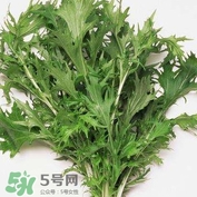 艾蒿能吃嗎？艾蒿能做菜吃嗎