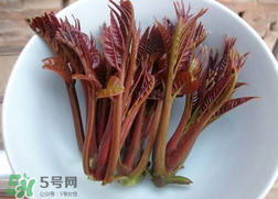 香椿和雞肉可同吃嗎？香椿和雞肉能一起吃嗎？