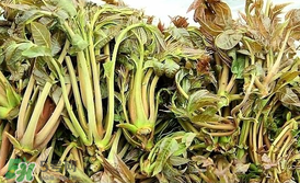 香椿和平菇能一起吃嗎？香椿和香菇能一起吃嗎？