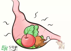 吃香椿會(huì)上火嗎？香椿吃多了會(huì)上火嗎？