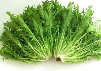 苦苣怎么吃？炒苦苣菜的做法