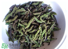 蒸構(gòu)樹花兒孕婦可以吃嗎？孕婦可以吃蒸構(gòu)樹花兒嗎？