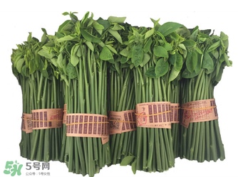 樹(shù)仔菜有毒嗎？樹(shù)仔菜有沒(méi)有毒？