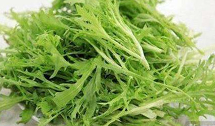 苦苣菜能生吃嗎？苦苣菜可以生吃嗎