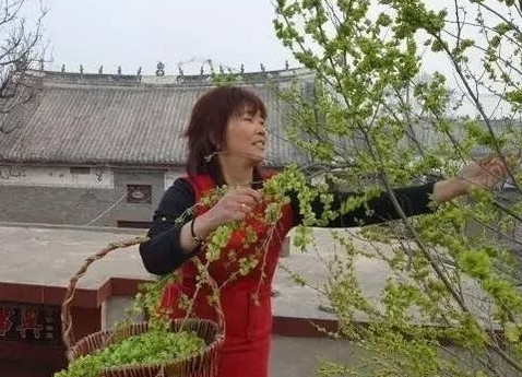 榆錢怎么蒸？蒸榆錢的做法
