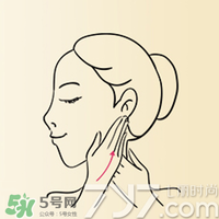 雅頓時空膠囊怎么用？伊麗莎白雅頓時空膠囊使用方法