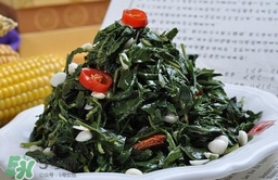 苦菜對人有什么好處？苦菜有什么功效