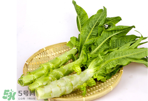 萵筍能放冰箱嗎？萵筍放冰箱能吃嗎？