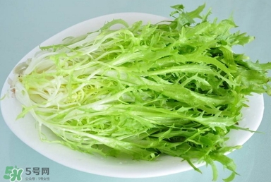 苦苣根哪里有賣？苦苣根茶在那里買的到