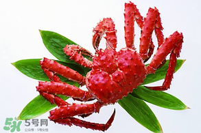 香椿能和海鮮一起吃嗎？香椿和海鮮能一起吃嗎？