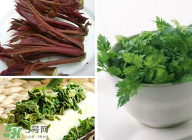 香椿和香菜能一起吃嗎？香椿和香菜怎么做？