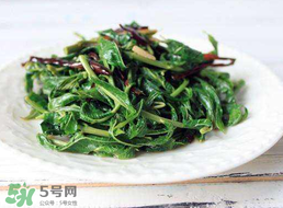 香椿和芹菜能一起吃嗎？香椿可以和芹菜同吃嗎？