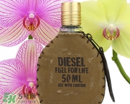 diesel迪塞爾是什么牌子？diesel是哪個國家的？