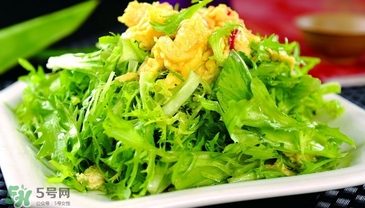 苦菊能和豆腐一起吃嗎？苦菊可以和豆腐一起吃嗎