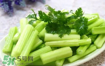 苦菊能和芹菜一起吃嗎？苦菊可以和芹菜一起吃嗎