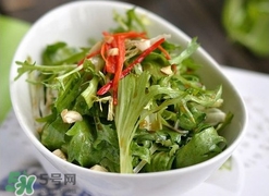 苦菊怎么保存？苦菊怎樣保存