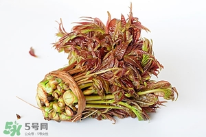 香椿樹什么時候發(fā)芽？香椿樹什么時候種植