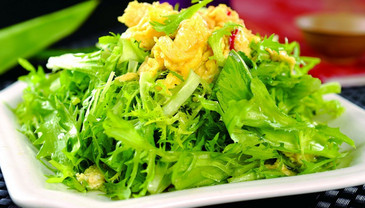 苦菊能和雞蛋一起吃嗎？苦菊可以和雞蛋一起吃嗎