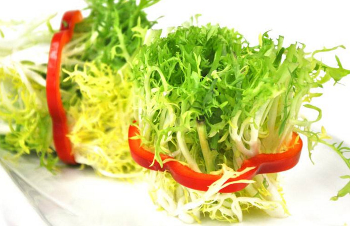 苦菊和什么相克？苦菊不能和什么同吃