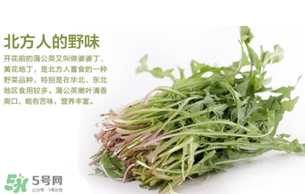 婆婆丁不能與什么同食？婆婆丁不能和什么一起吃？