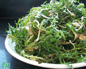 婆婆丁怎么吃？婆婆丁怎么吃最好？
