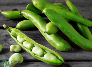 蠶豆什么時候成熟？蠶豆什么時候上市？