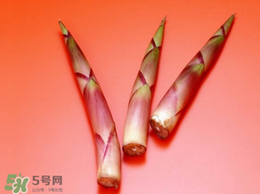 竹筍什么人不能吃？哪些人不適合吃竹筍？