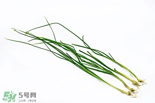 小根蒜的根能吃嗎？小根蒜的須子可以吃嗎