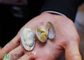 花甲怎么養(yǎng)不會死？花甲怎么養(yǎng)到用第二天？