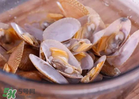 花甲怎么養(yǎng)不會死？花甲怎么養(yǎng)到用第二天？
