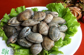 花甲不開口怎么辦？怎么讓花甲開口？