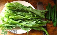 萵苣葉是什么？生菜是不是萵苣葉子