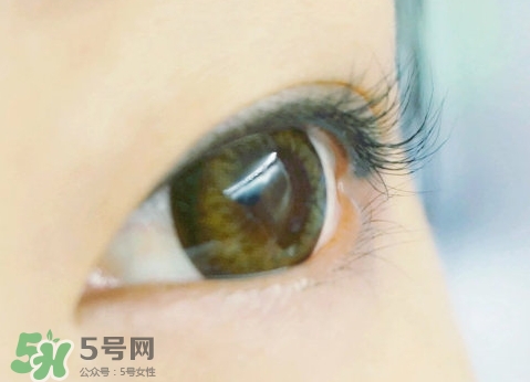 貝印和muji睫毛夾哪個(gè)好？貝印和無(wú)印良品睫毛夾對(duì)比
