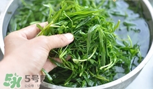 掃帚菜怎么做好吃？掃帚菜怎么吃好吃