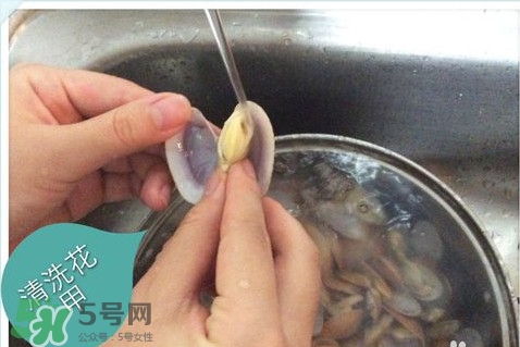 芒果螺怎么清洗？芒果螺怎么吃
