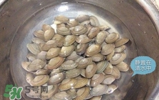 芒果螺怎么清洗？芒果螺怎么吃