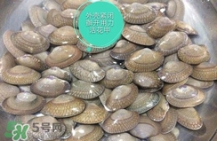 芒果螺怎么清洗？芒果螺怎么吃