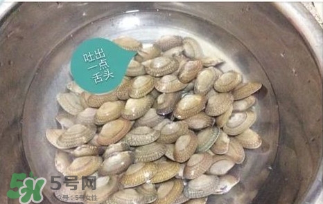 芒果螺怎么清洗？芒果螺怎么吃