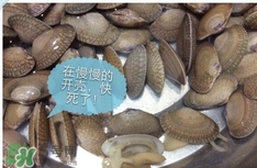 芒果螺怎么清洗？芒果螺怎么吃