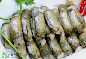 蟶子不能和什么一起吃？蟶子和什么不能一起吃？
