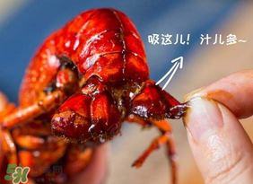 吃油燜大蝦會胖嗎？油燜大蝦的熱量是多少？